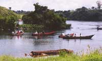 FISHING CANOES ON THE NILE NEAR JINJA TOWN