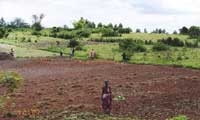 PEASANT FARMERS PREPARE LAND FOR PLANTING IN WESTERN UGANDA