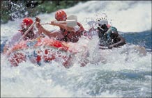 WHITE WATER RAFTING ON THE NILE