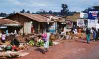 A ROADSIDE MARKET 