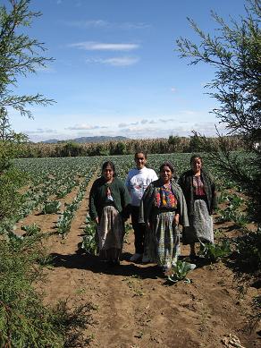 Visiting agricultural projects