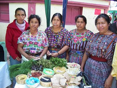 Medicinal plants demonstration