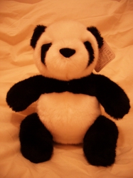 little panda bought by sister