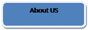 Rounded Rectangle: About US