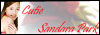 An fansite for Sandara Park made by Delainee