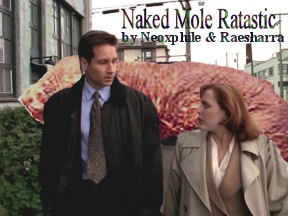 Naked Moleratastic