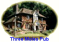 Three Moles Pub