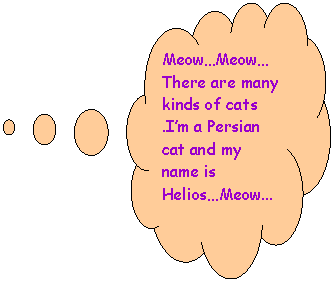 Cloud Callout: Meow�Meow�
There are many kinds of cats .I�m a Persian  cat and my name is Helios�Meow...
