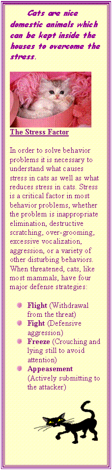 Text Box:      Cats are nice domestic animals which can be kept inside the houses to overcome the stress.
  The Stress Factor
In order to solve behavior problems it is necessary to understand what causes stress in cats as well as what reduces stress in cats. Stress is a critical factor in most behavior problems, whether the problem is inappropriate elimination, destructive scratching, over-grooming, excessive vocalization, aggression, or a variety of other disturbing behaviors. When threatened, cats, like most mammals, have four                                 major defense strategies:                       
 	Flight (Withdrawal from the threat) 
 	Fight (Defensive aggression) 
 	Freeze (Crouching and lying still to avoid attention) 
 	Appeasement (Actively submitting to the attacker) 
 





