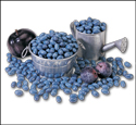 jelly beans
