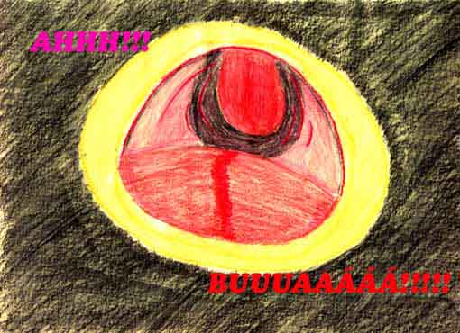 Clique para a pr�xima imagem