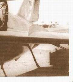 [An Indonesian Air Force MiG Pilot]