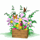 Click for Linnet.