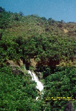 Cascanto.jpg (26902 bytes)
