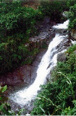 Cascmati.jpg (27983 bytes)