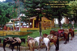 Sanpabl1.jpg (36674 bytes)