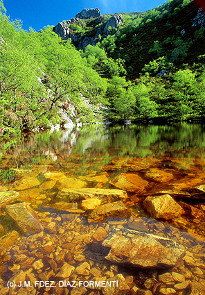 Laguna-Honda.-Muniellos.jpg (100689 bytes)