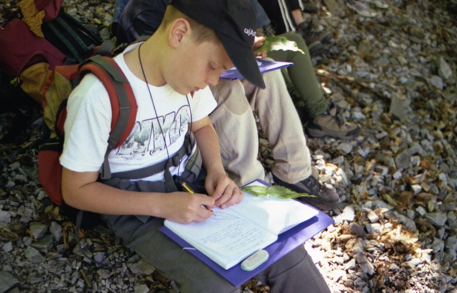 camp4 fapas02.JPG (150059 bytes)