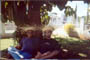 Ivan and Me
