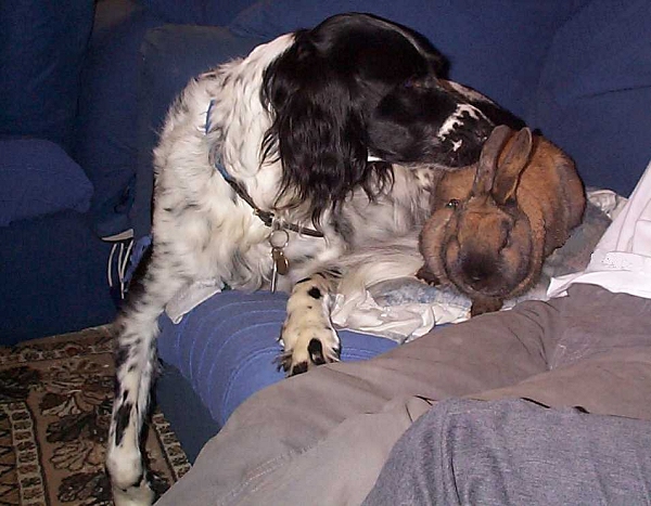 Joe and Holly