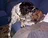 Beamer & Brian