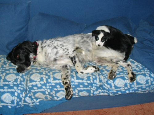 Joe and Holly