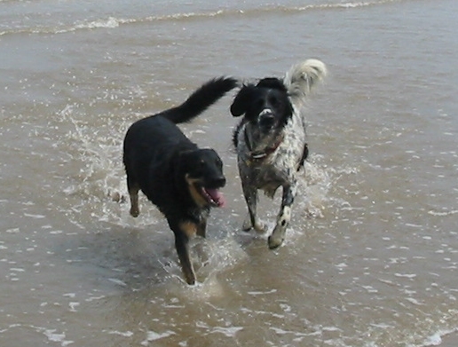 Joe and Holly