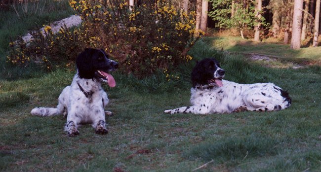 Joe and Holly