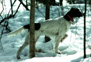 LM in snow