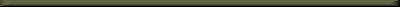 Large Munsterlander divider width=