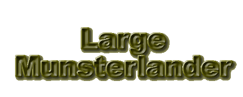 Welcome to the Large Munsterlander website