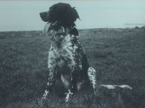 Mick