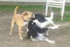 Murphy and Tucker