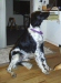 Murphy