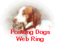 The Pointing Dog Webring