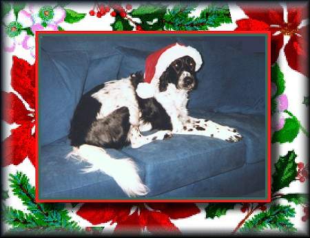 Beamer's Christmas Card