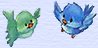 Birds