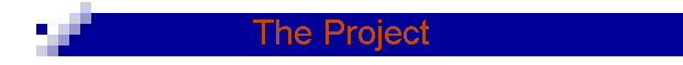 The Project