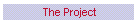 The Project