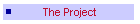 The Project