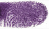 [ digitalis ]