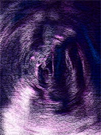 Conceive