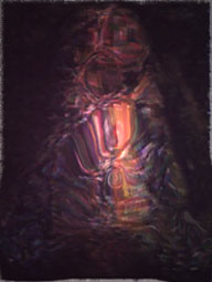 Fetal