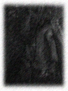 Perceive