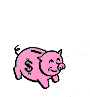  [piggy bank] 