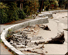 photo of seawall