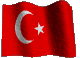 Turkish Flag
