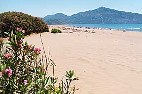 Turtle beach in Turkey