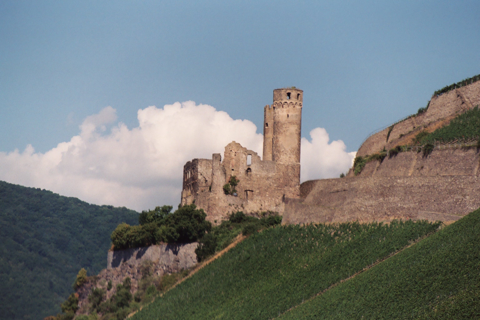 Rhine River photos