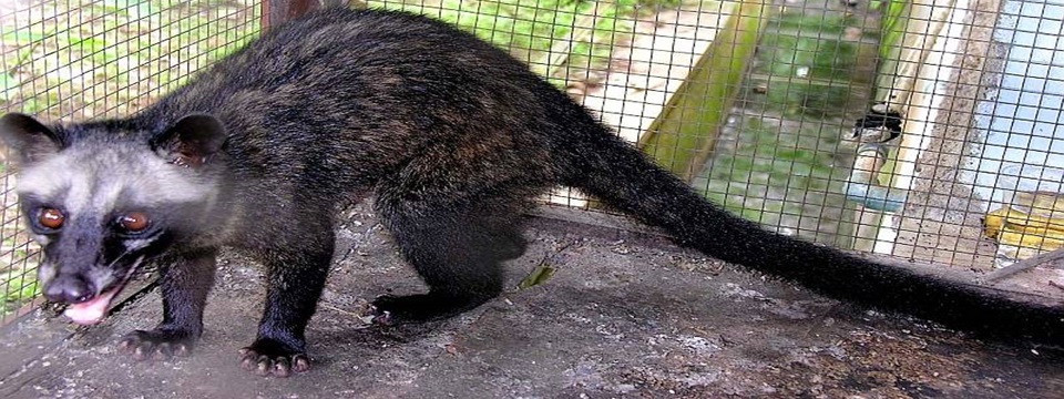 Slider 01